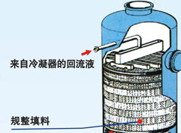 填料支撐裝置